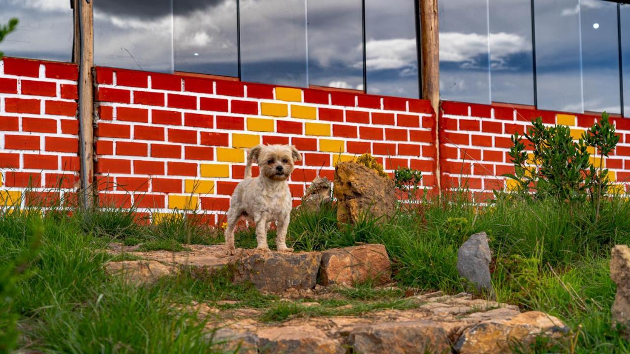 ホテル Sky Dome Peru クスコ エクステリア 写真